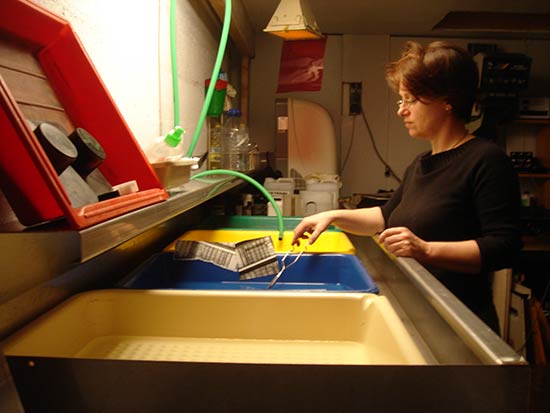 Cours de labo NB, atelier d'Isabelle Menu